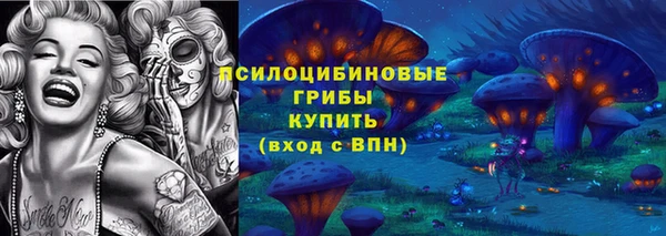 герыч Алексин