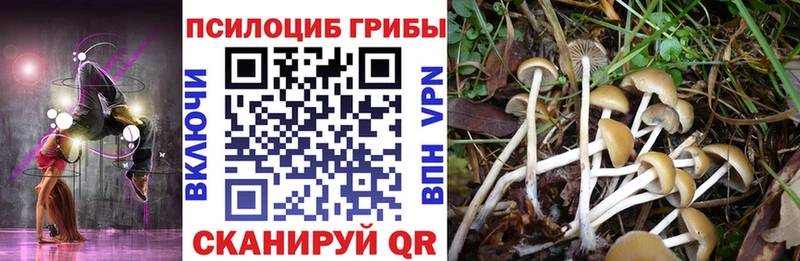 купить hydra онион Галлюциногенные грибы Psilocybe Нерехта